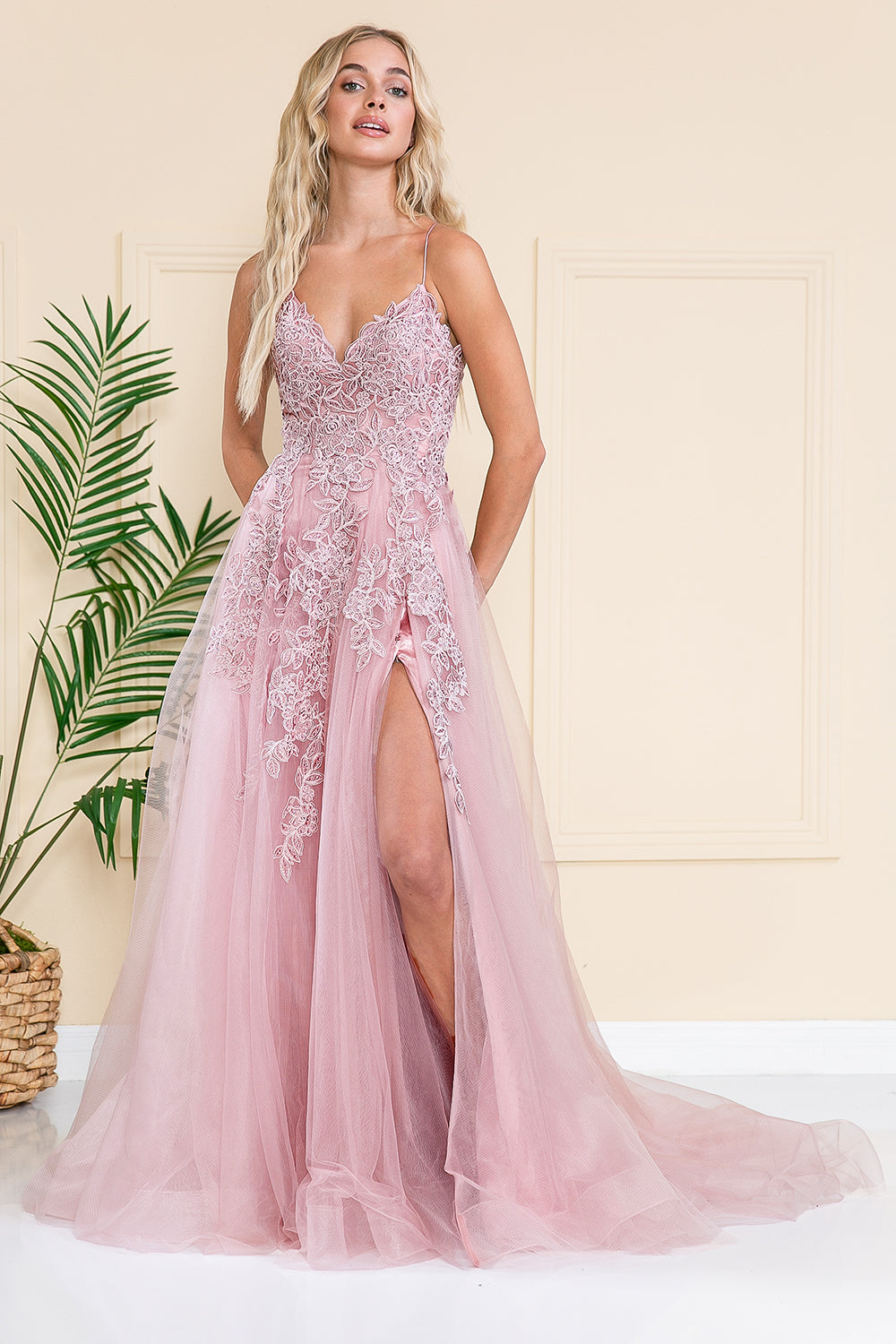 BZ014 - Embellished A-line Chapel Length Tulle Dress