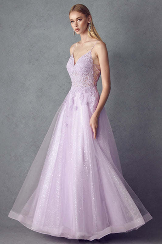 Embroidered Bodice Tulle Prom Ball Gown