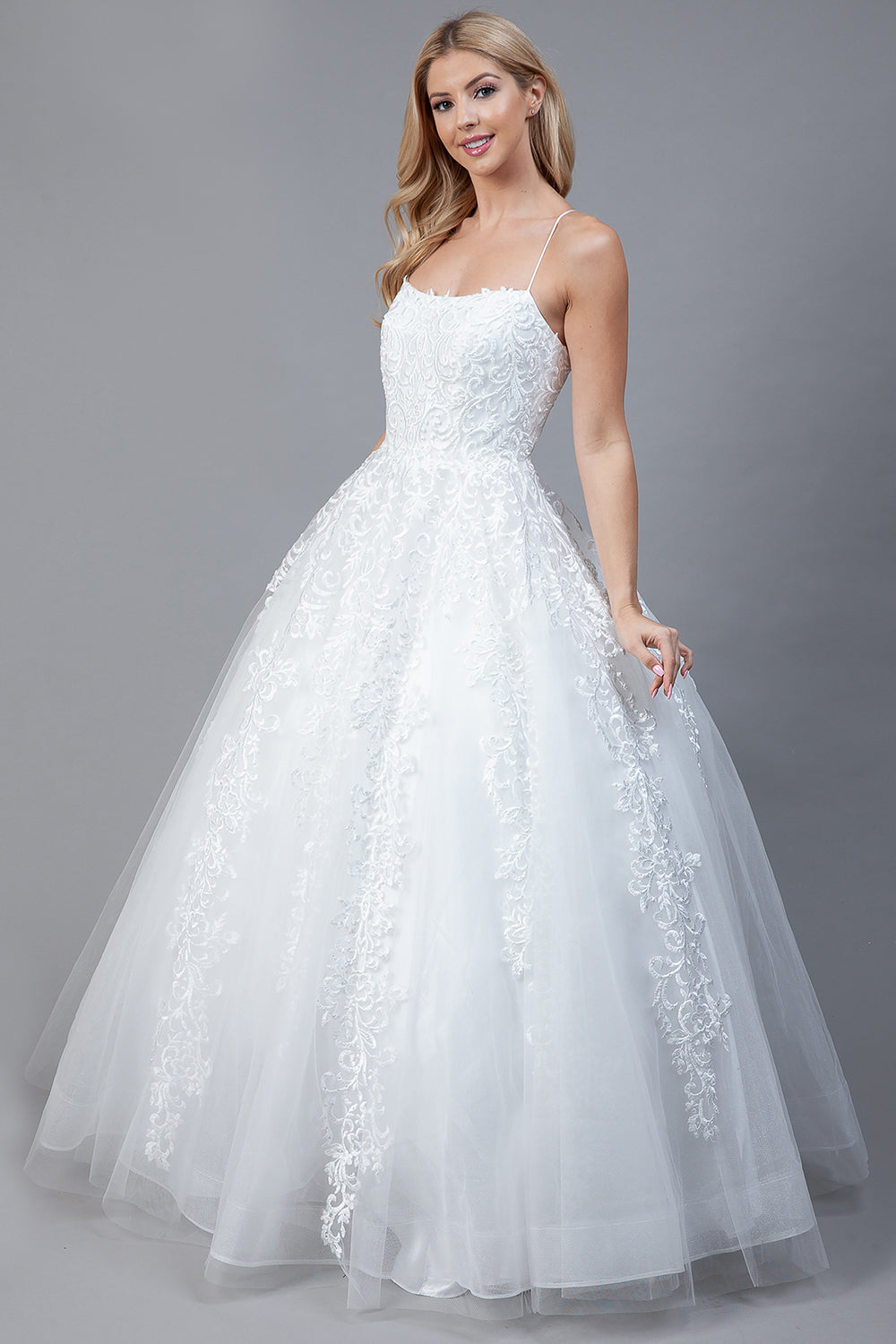 Boatneck Embroidered Lace Tulle Ball Gown