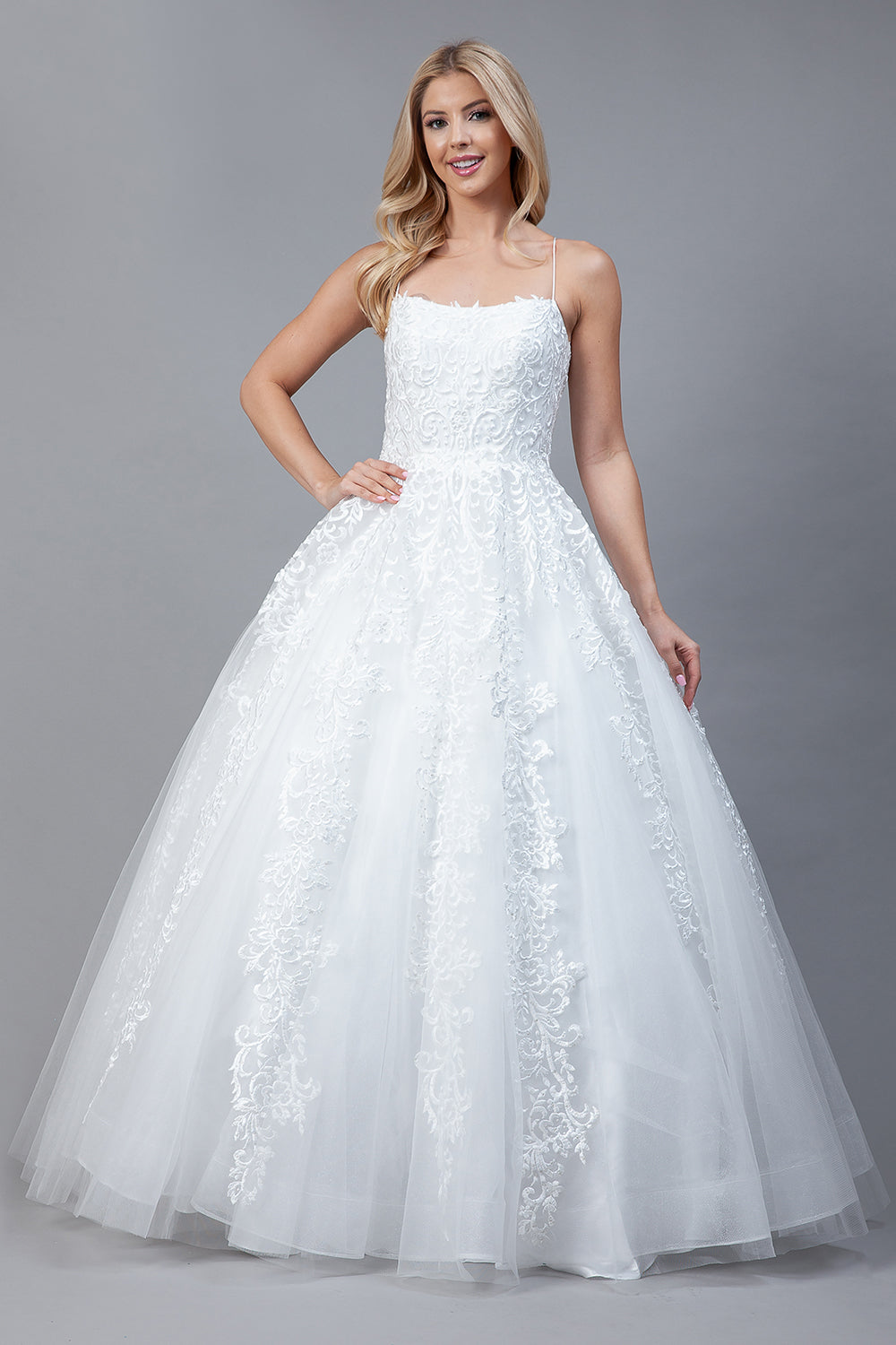 Boatneck Embroidered Lace Tulle Ball Gown