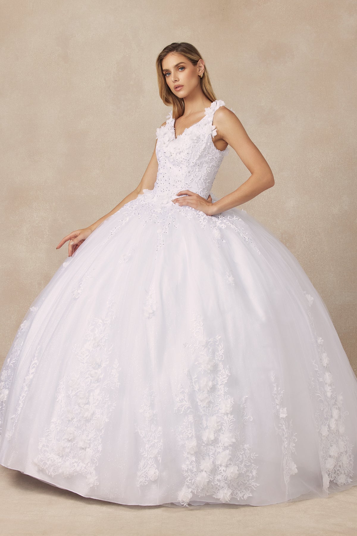 Floral Applique Quinceañera Ball Gown with 3D Flowers