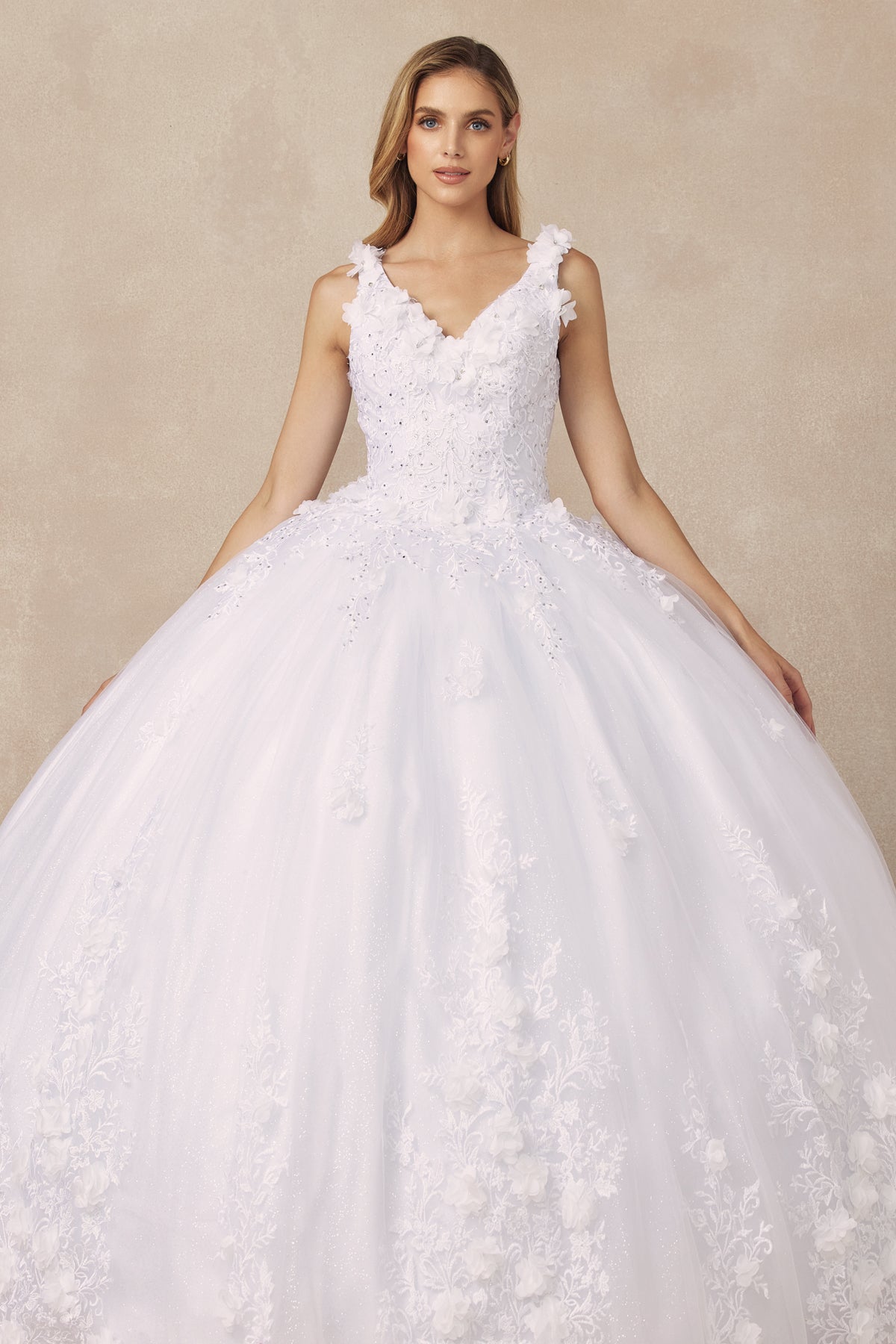 Floral Applique Quinceañera Ball Gown with 3D Flowers